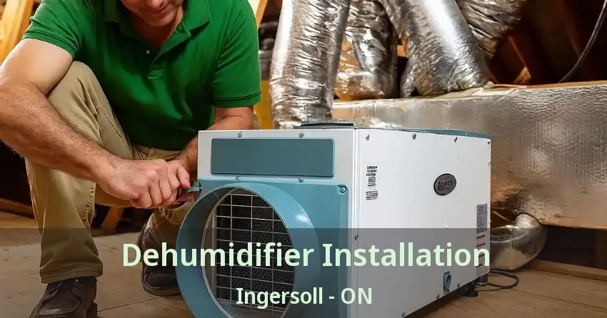 Dehumidifier Installation Ingersoll - ON