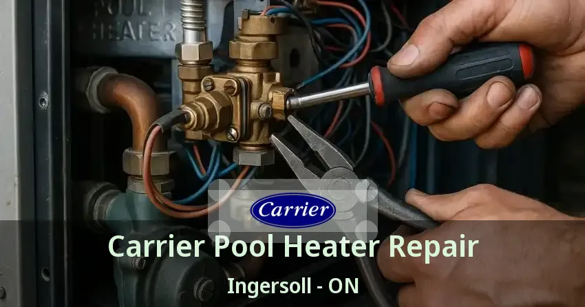 Carrier Pool Heater Repair Ingersoll - ON